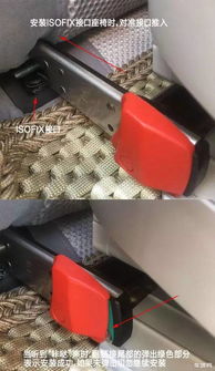 别再犯错 儿童座椅该朝前还是朝后